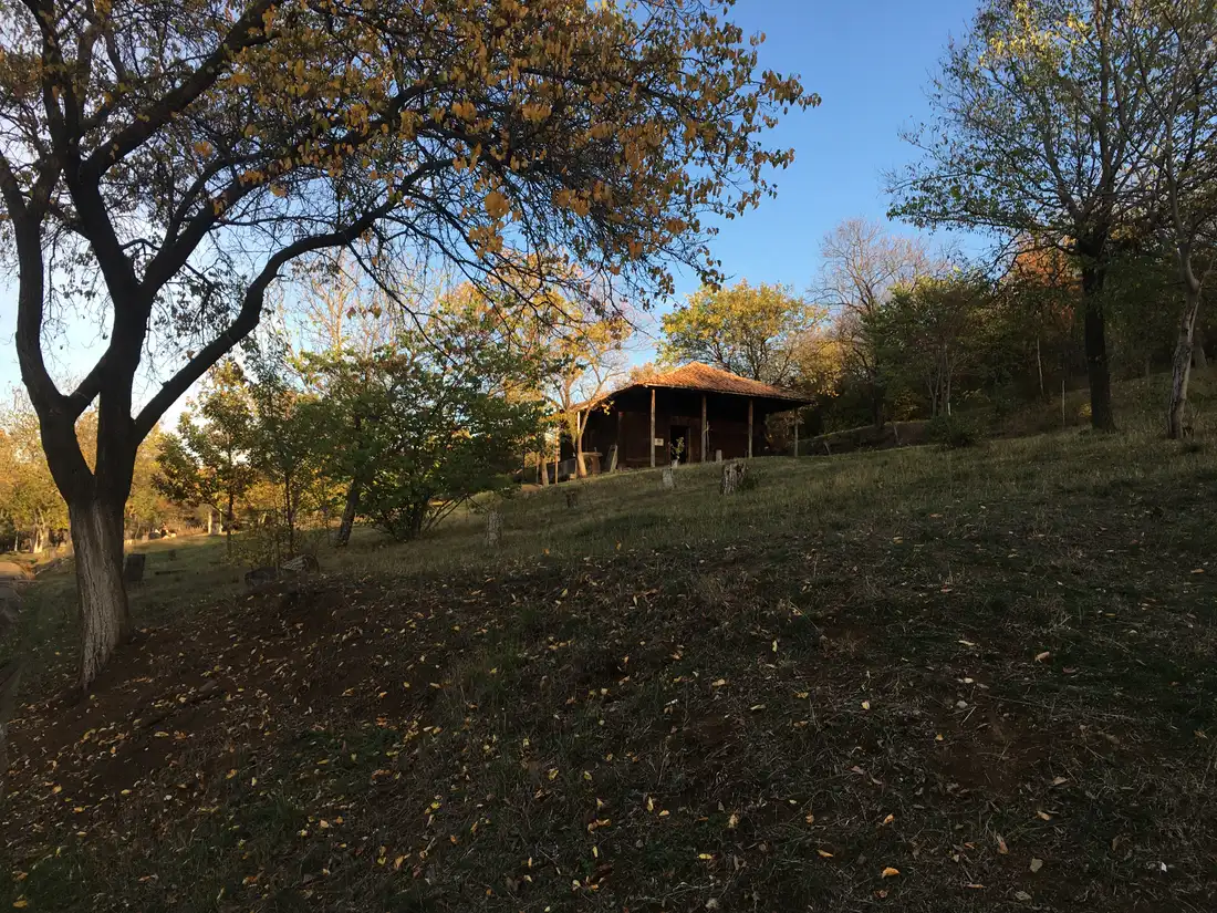 Wooden shelter on a grassy slope among trees in the open-air museum