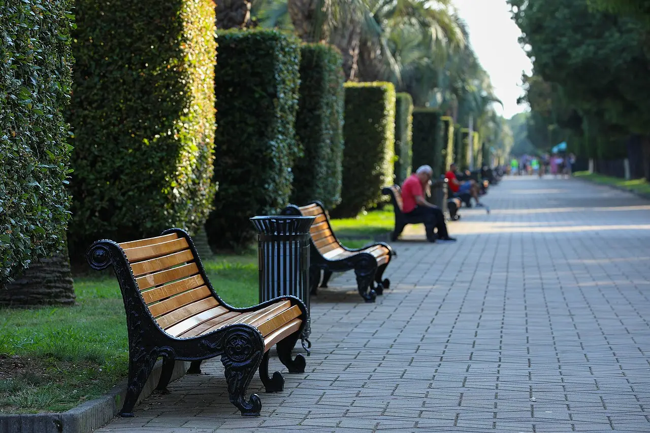 Shaded alley of Batumi Boulevard with cast-iron benches, clipped hedges and palms