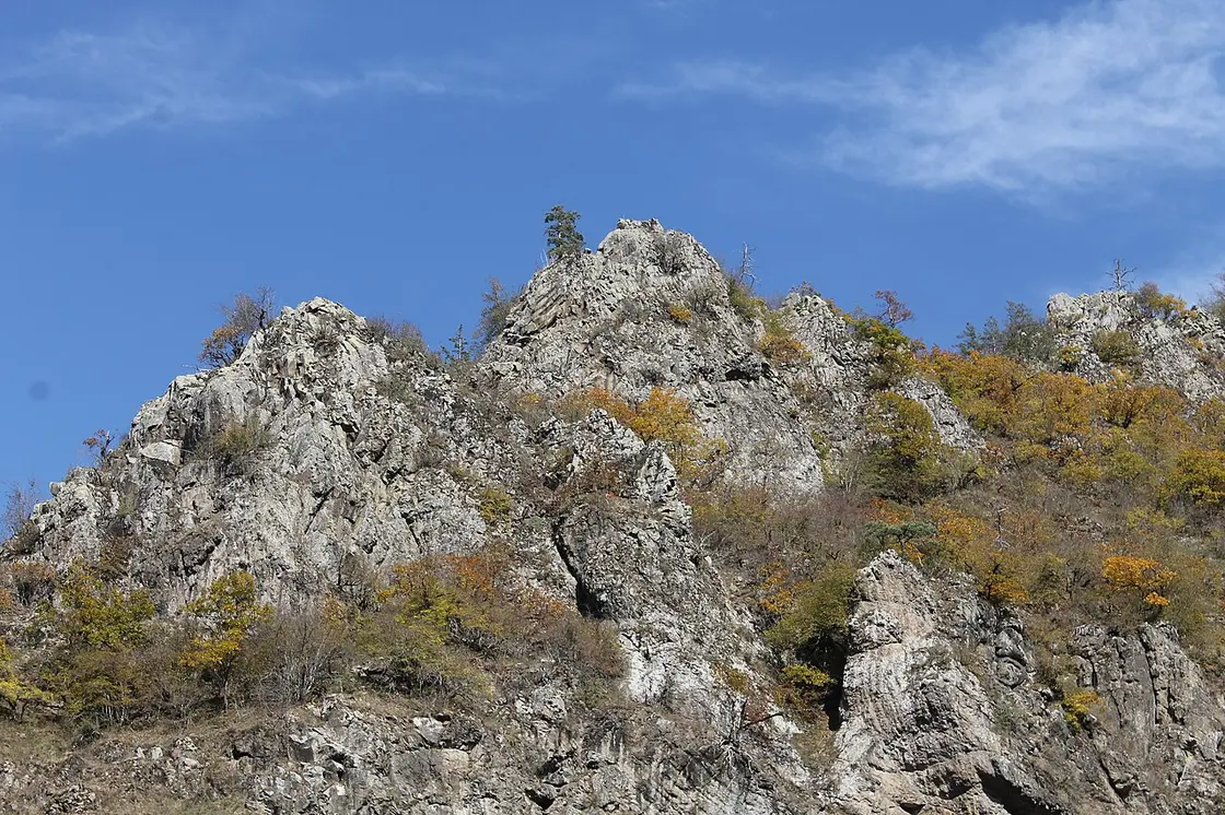 Горный луг с деревянной изгородью в парке Боржоми-Харагаули