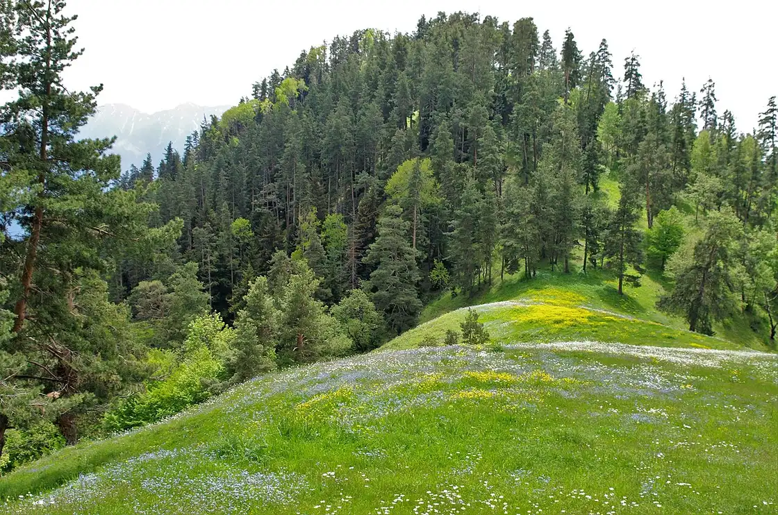 Горная панорама над Атскури в парке Боржоми-Харагаули