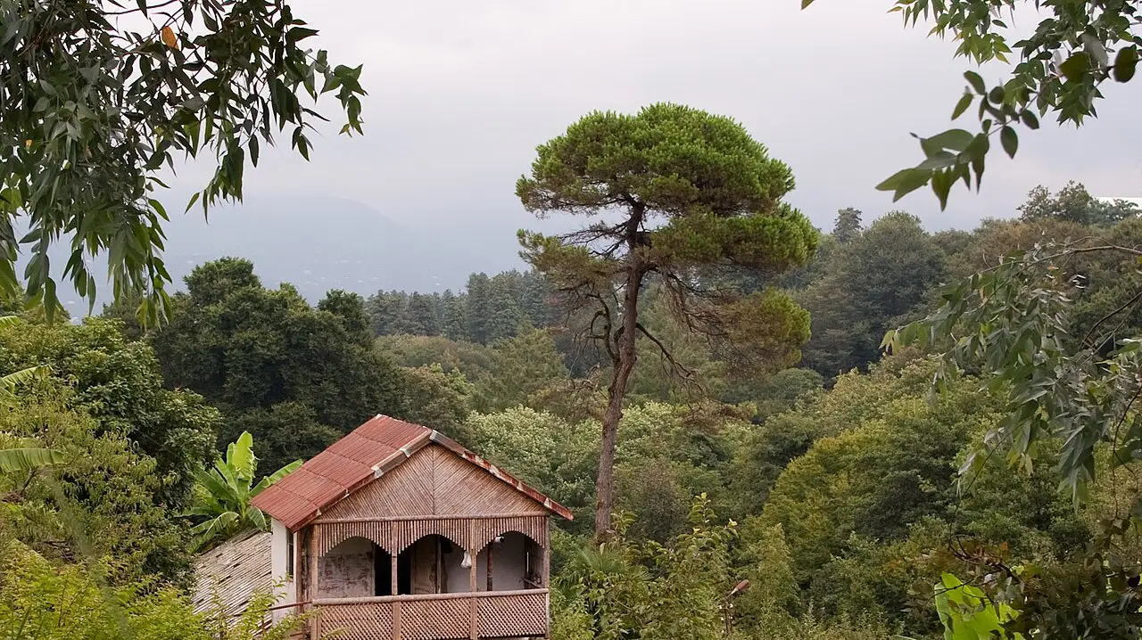 Greenery and an old house in Batumi Botanical Garden