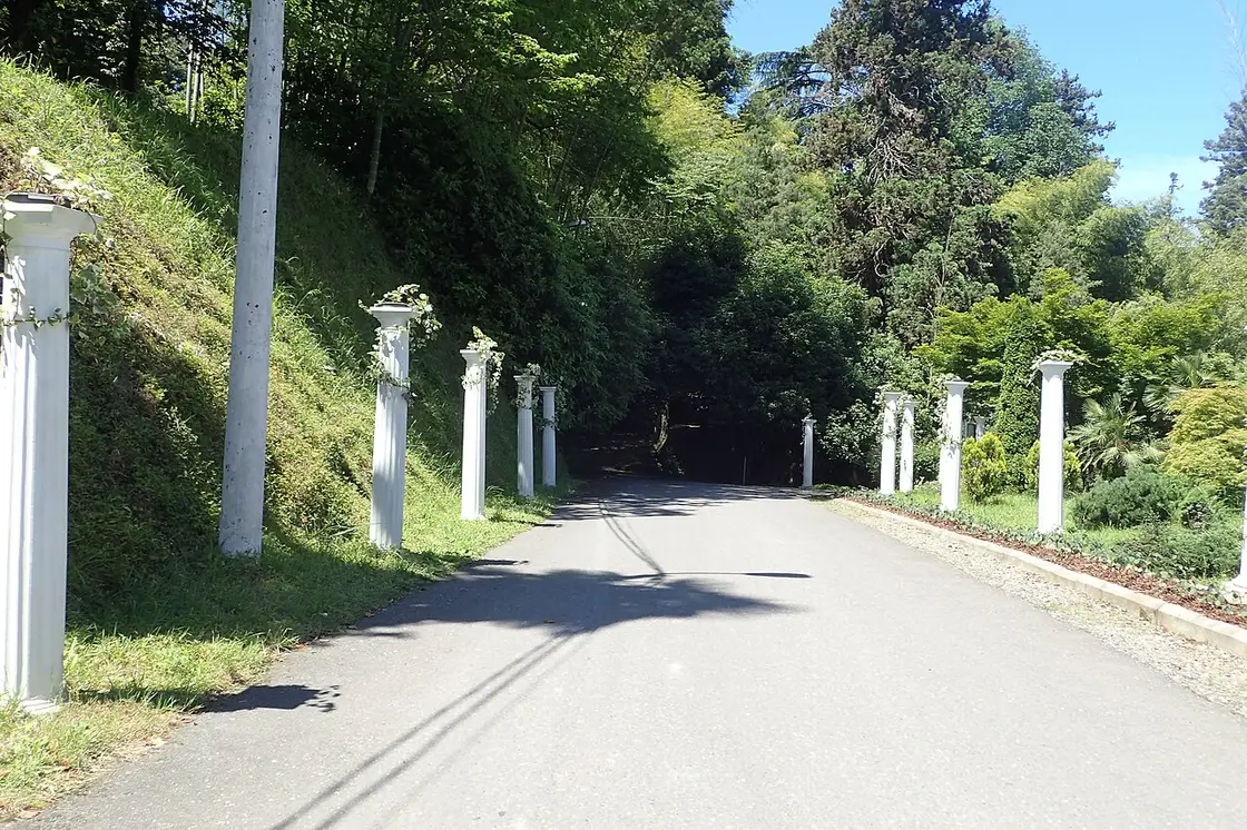 Entrance avenue with white columns in Batumi Botanical Garden