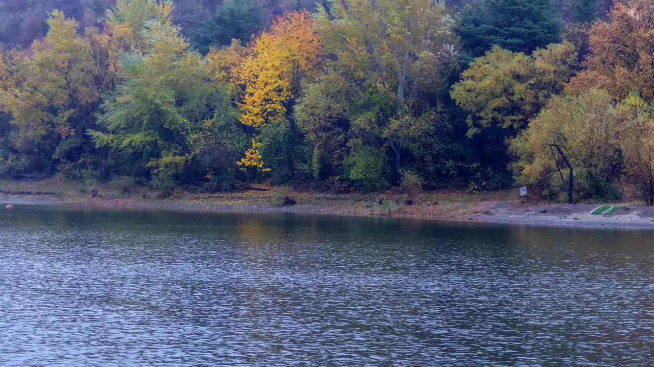 Turtle Lake in Tbilisi in autumn: golden foliage on the shore and calm water