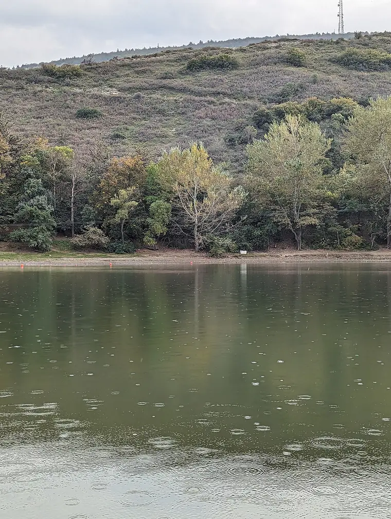 Shore of Turtle Lake and wooded slopes