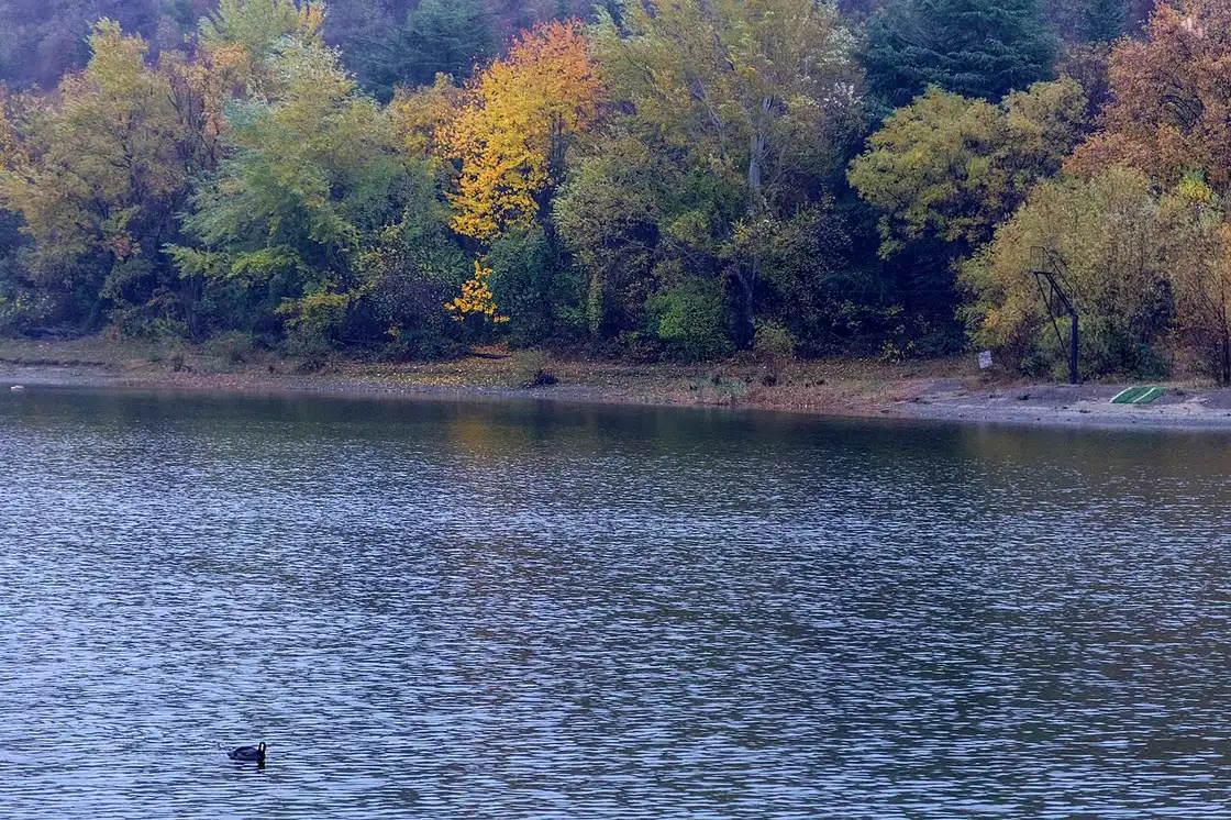 The surface of Turtle Lake and autumn trees on the shore
