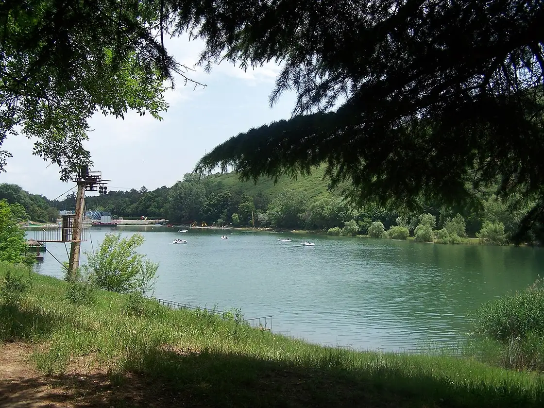 Shore of Turtle Lake surrounded by pines