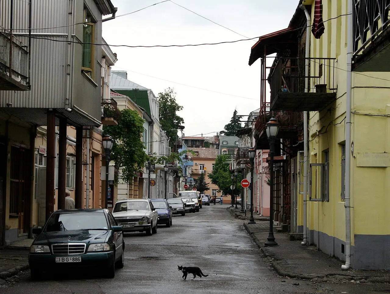 Narrow old street in Batumi with balconied houses, parked cars and a cat crossing the road