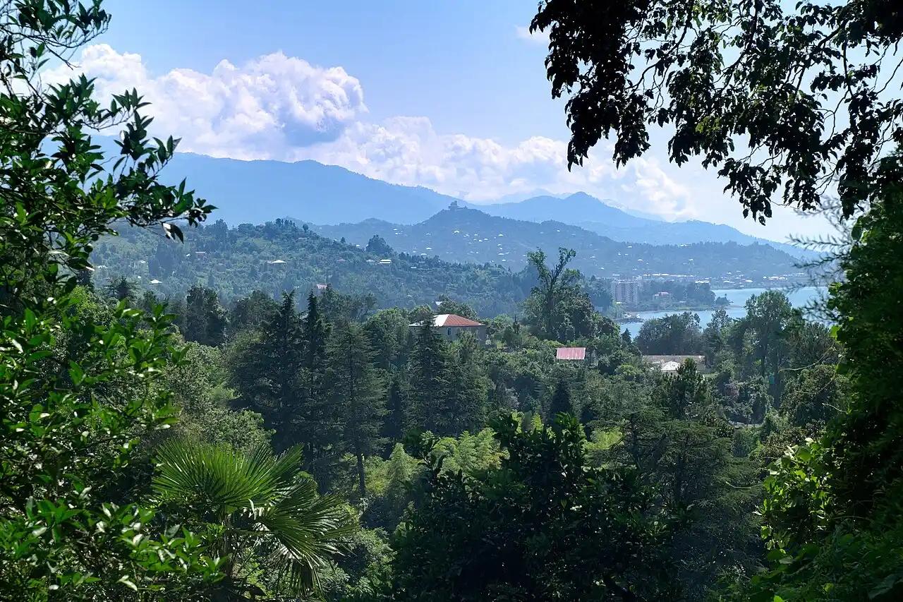 Green hillside view over Makhinjauri and Batumi bay through trees