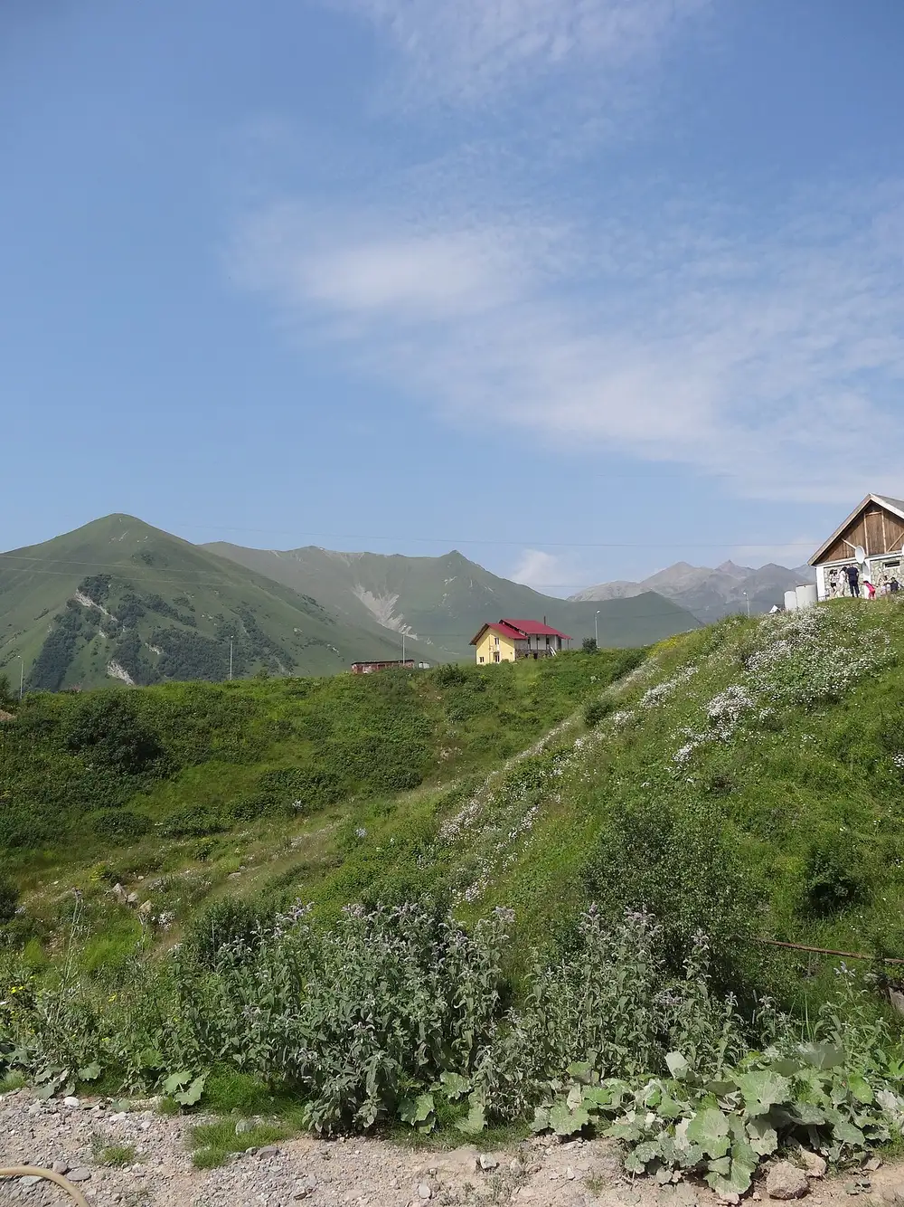Зелёные склоны Гудаури и горы Кавказа летом