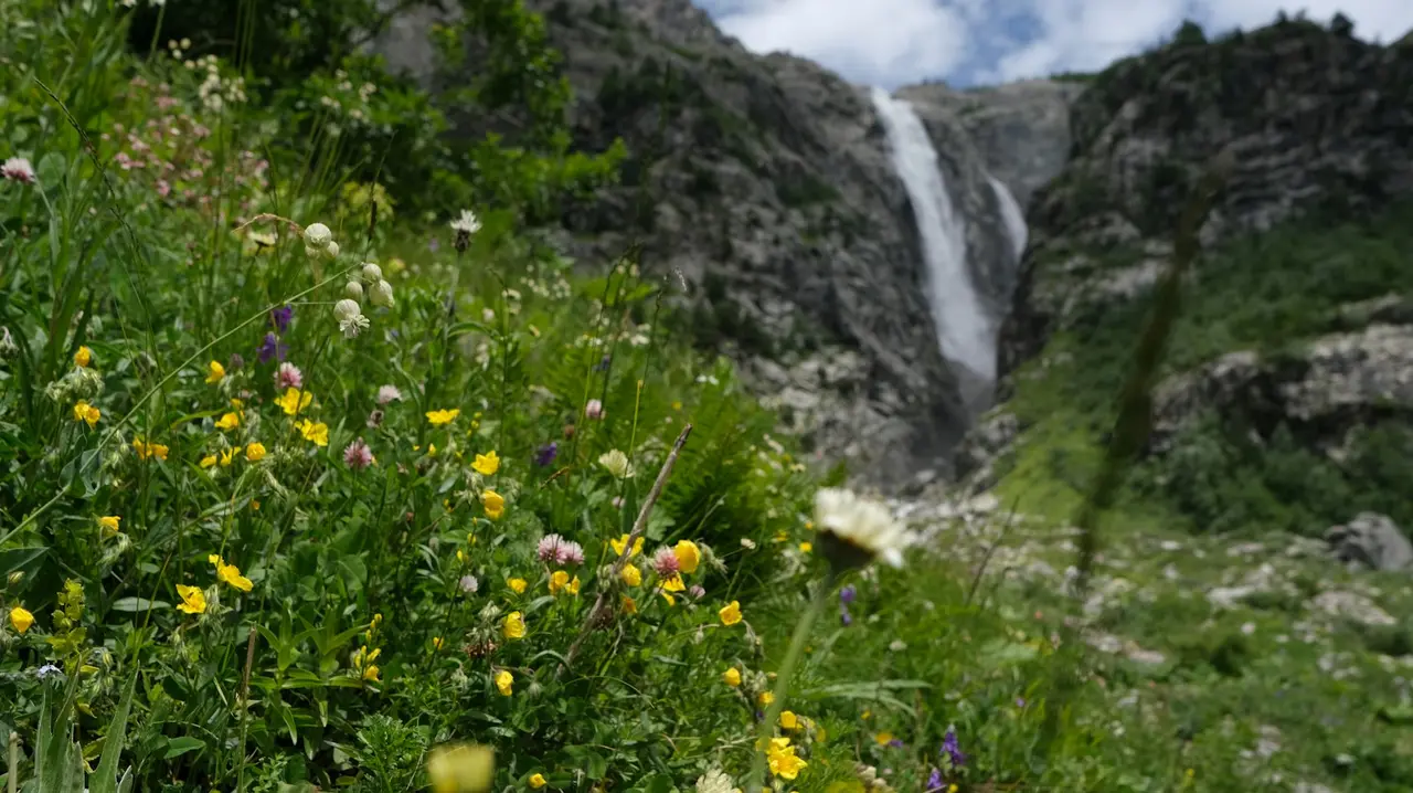 Alpine meadows with wildflowers and a waterfall in the Georgian mountains