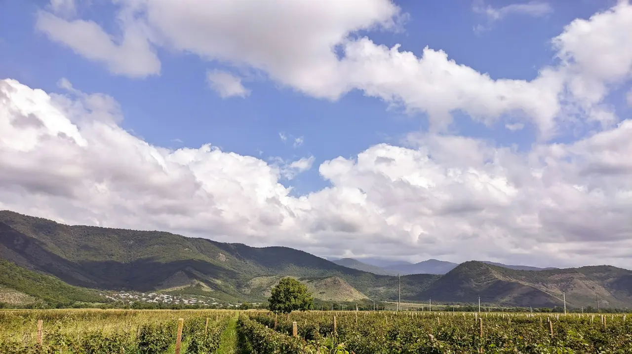 Kakheti vineyards against the mountains in autumn