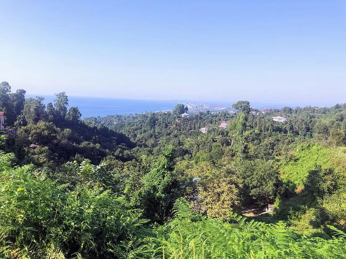 Green subtropical slopes of Tsikhisdziri dropping down to the Black Sea