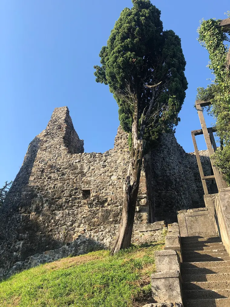 The ruins of the Petra fortress with a cypress and stone steps at Tsikhisdziri