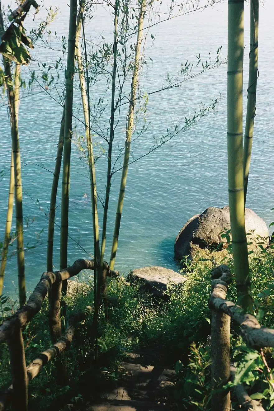 A stepped bamboo path leading down to turquoise water at Tsikhisdziri