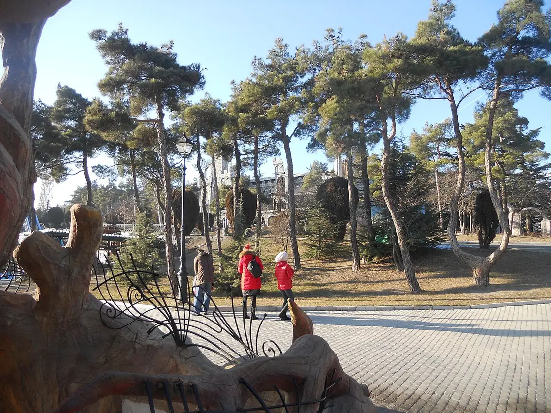 Paths and pines in Mtatsminda Park