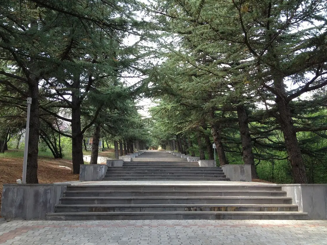 The grand staircase of Mtatsminda Park among conifers