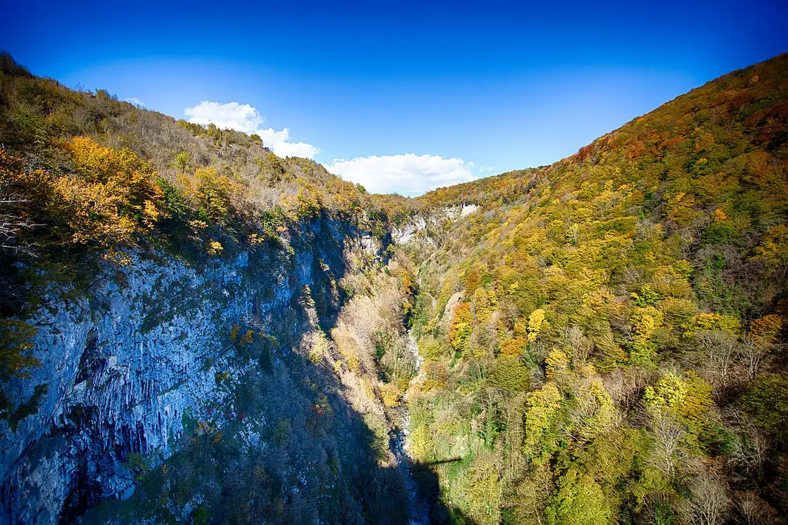 Осенний каньон Окаце: известняковый обрыв и золотистый лес
