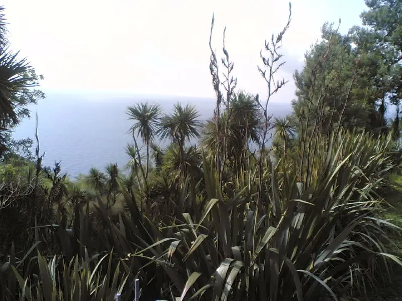 Wild overgrown shore at Green Cape above the Black Sea
