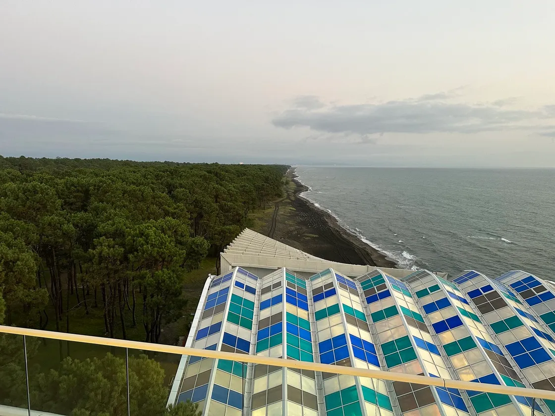 A view over the pine forest and the dark shore of Shekvetili by the Black Sea