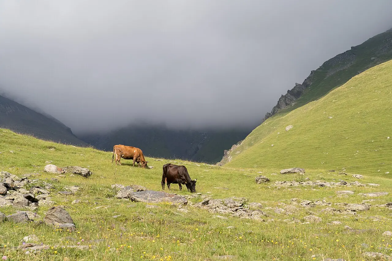 Stepantsminda (Kazbegi) by the Georgian Military Road toward Verkhniy Lars