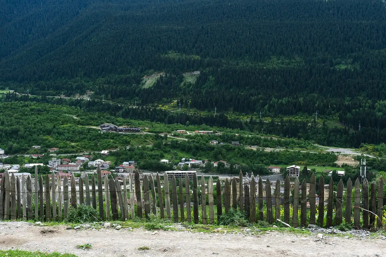 The town of Mestia in a green valley below forested slopes