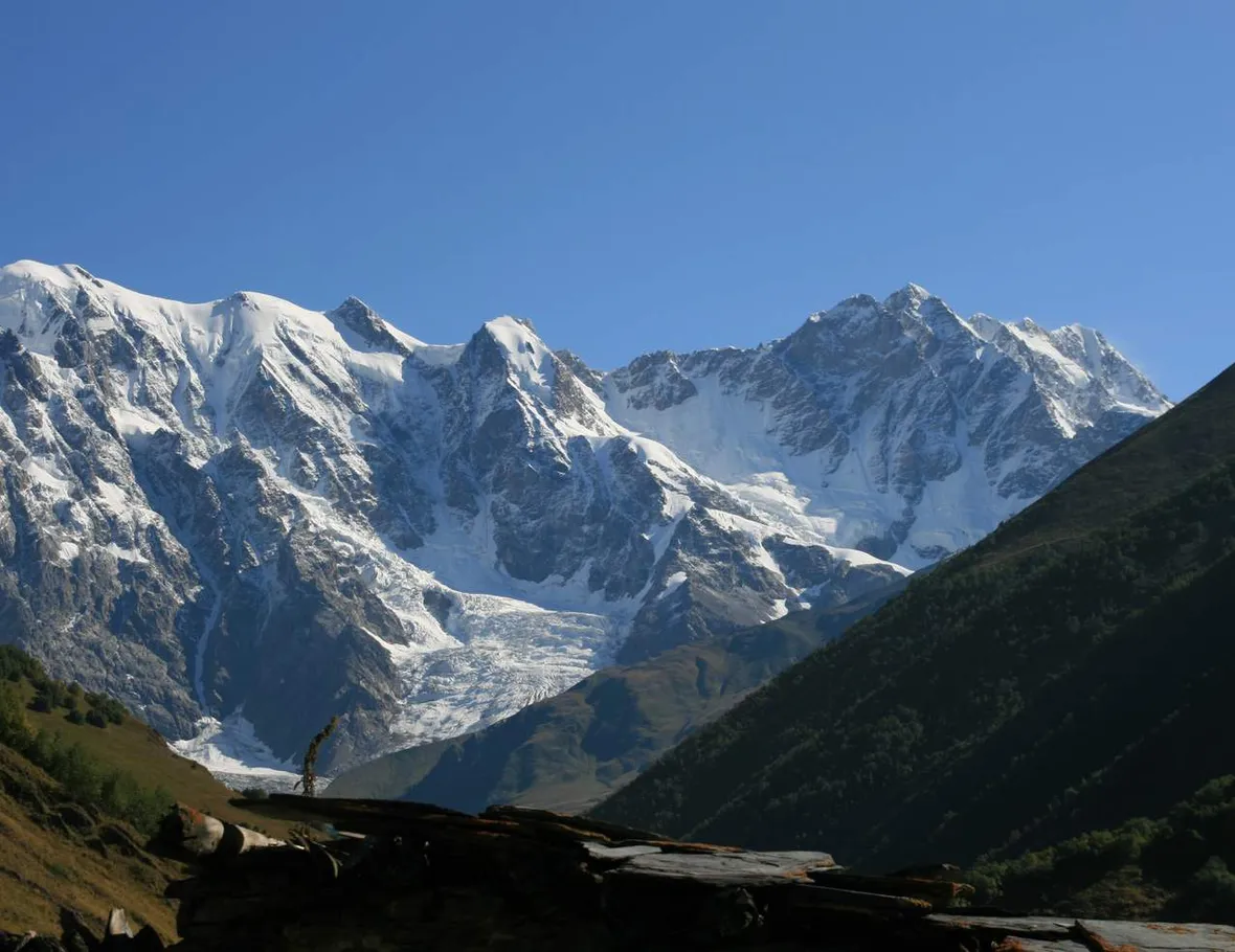 The snowy Shkhara massif with a glacier above green slopes