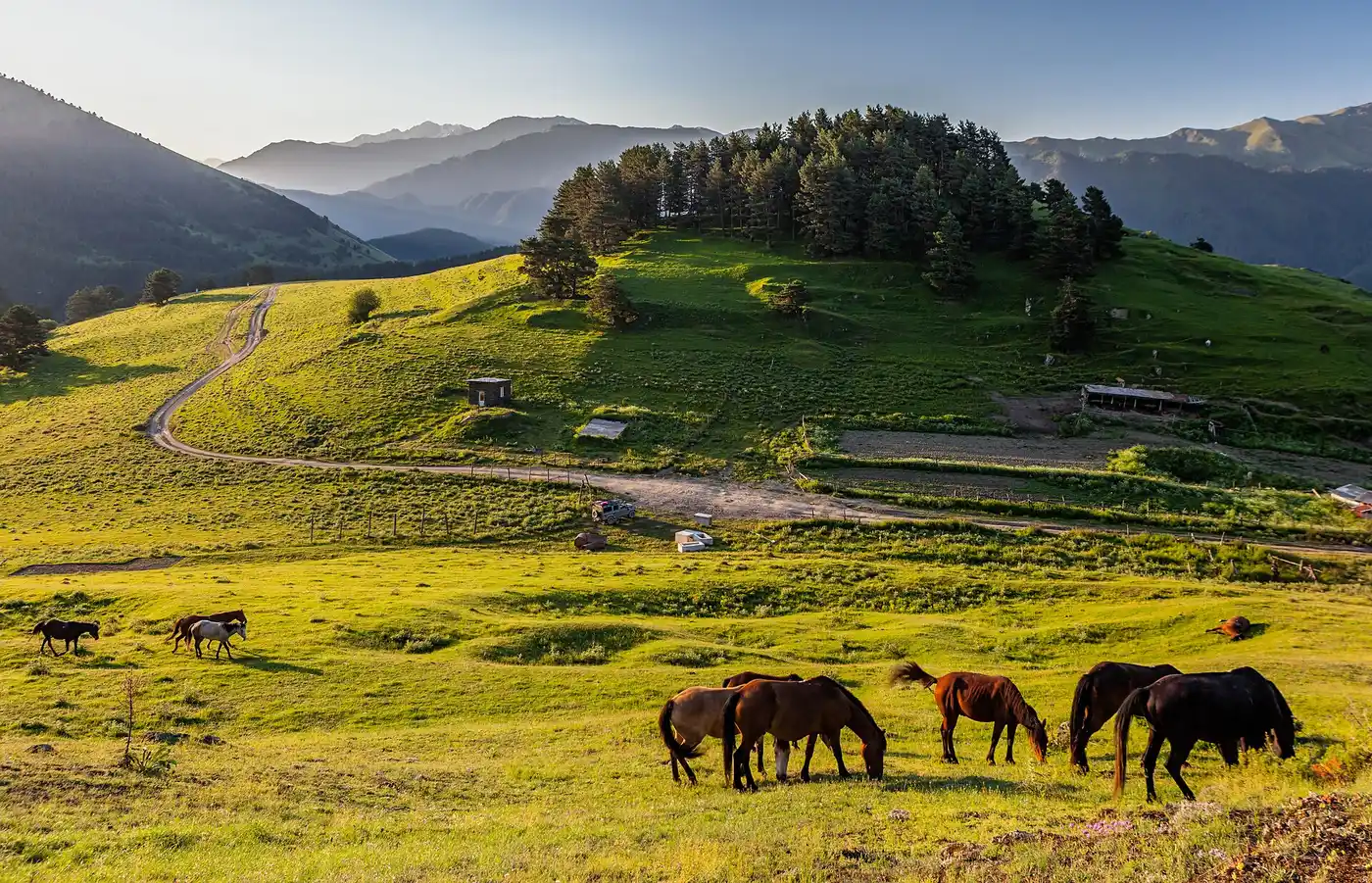 Morning in Upper Omalo: the green meadows of Tusheti with horses against the mountains