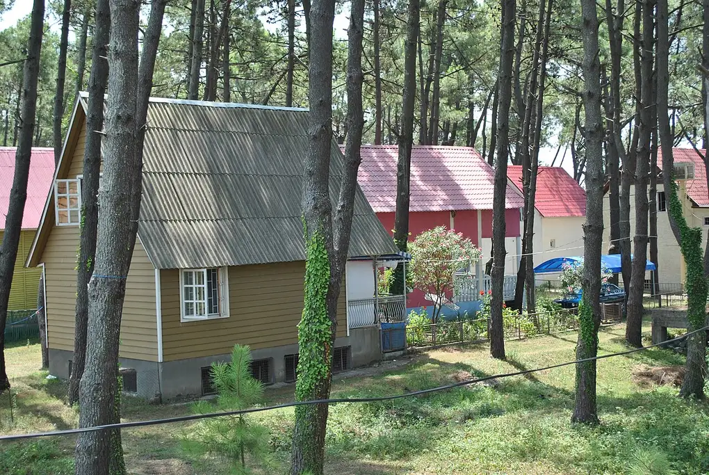 Colourful guesthouse cottages with red and yellow roofs among tall pines in Grigoleti