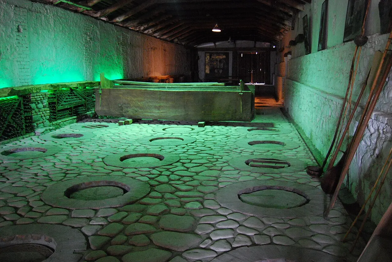 Traditional qvevri clay vessels buried flush with the stone floor of a Kakheti wine cellar, lit green